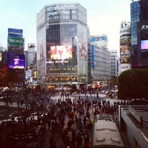 Shibuya Crossing. So many people!