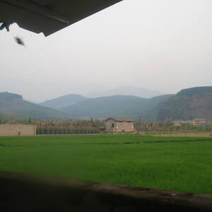 A "harvest field" we visited in Asia